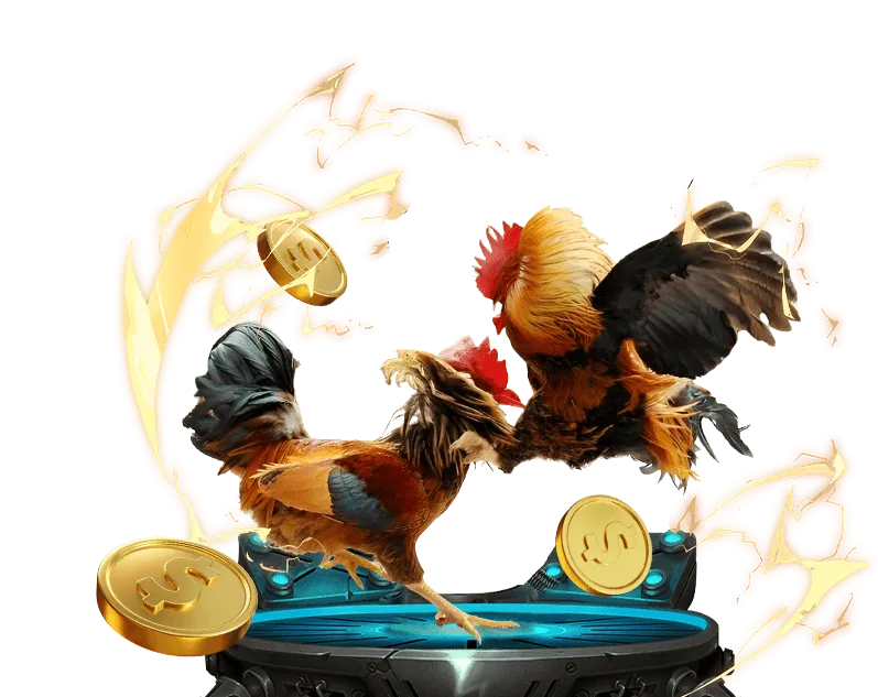 Quản lý tài khoản cá nhân